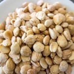 Marcona Almond Butter - RealFoodFinds.com